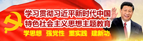 學(xué)習貫徹習近平新時(shí)代中國特色社會(huì )主義思想主題教育 學(xué)思想 強黨性 重實(shí)踐 建新功